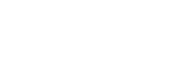 Biu 株式会社